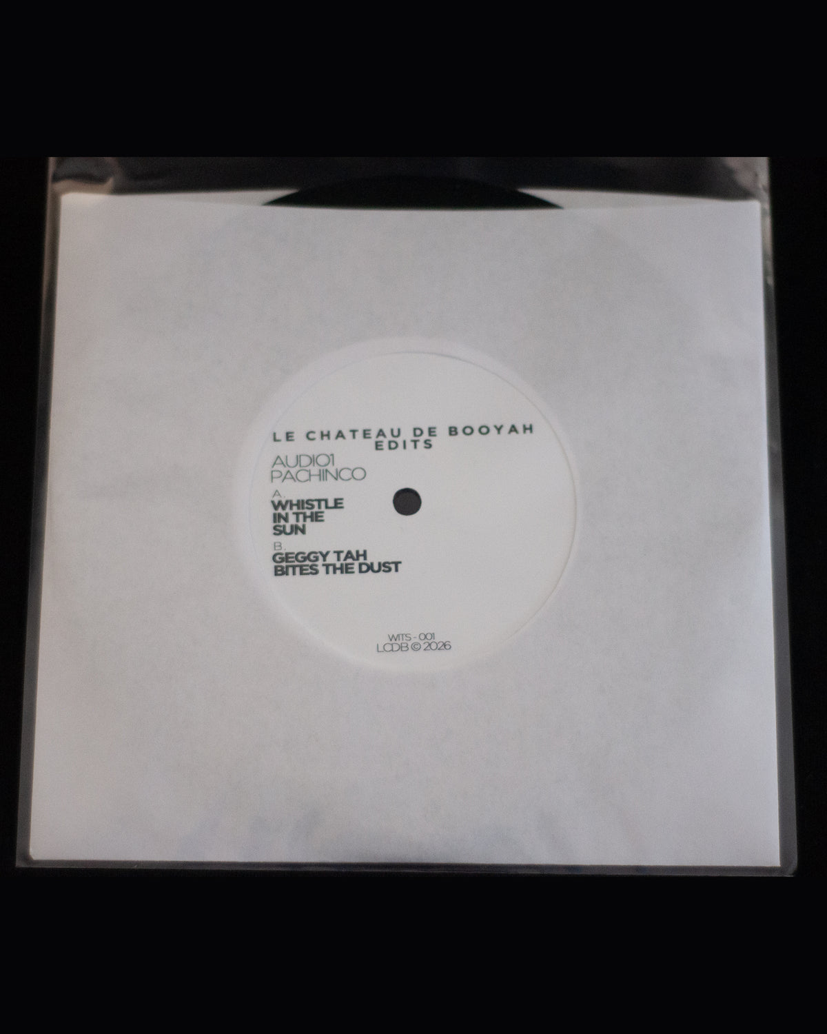 Audio1 x Pachinco - Whistle In The Sun / Geggy Tah Bites The Dust - White Label Booyah Edit (7" Record)