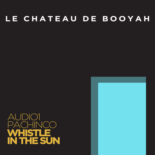 Whistle In The Sun / Weezer x Paul Johnson (Audio1 x Pachinco Edit) [AIFF Download]